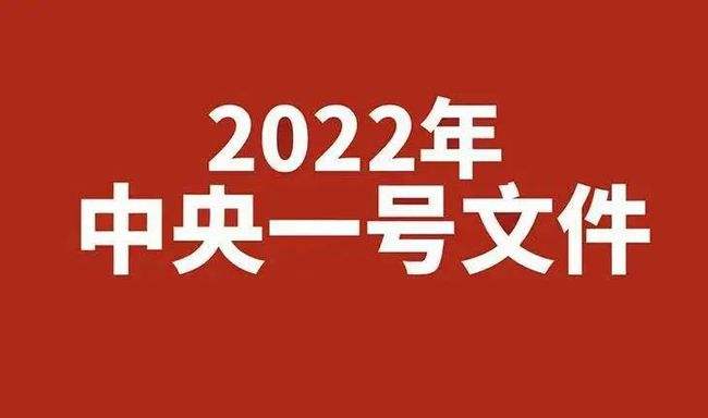 2022年中央一号文件 中共中央 国务院关于做好2022年全面推进乡村振兴重点工作的意见